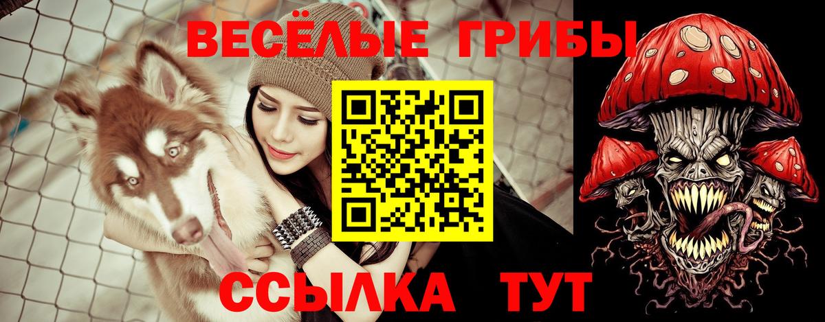 Псилоцибиновые грибы Psilocybine cubensis  Галлюциногенные грибы ЛСД  Белебей  Вход с VPN 